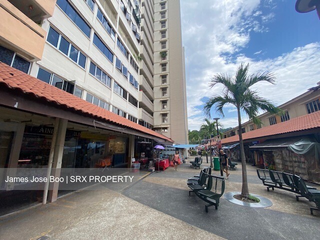 Blk 9 Telok Blangah Crescent (Bukit Merah), HDB 3 Rooms #597364951